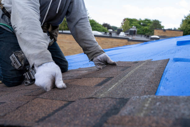 Quick and Trustworthy Emergency Roof Repair Services in Warren, MI