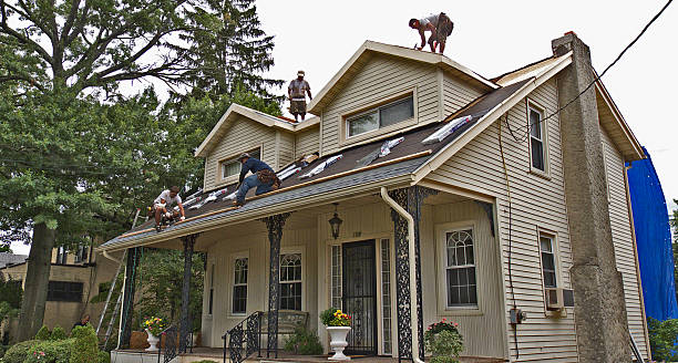 Best Flat Roof Repair Services  in Warren, MI