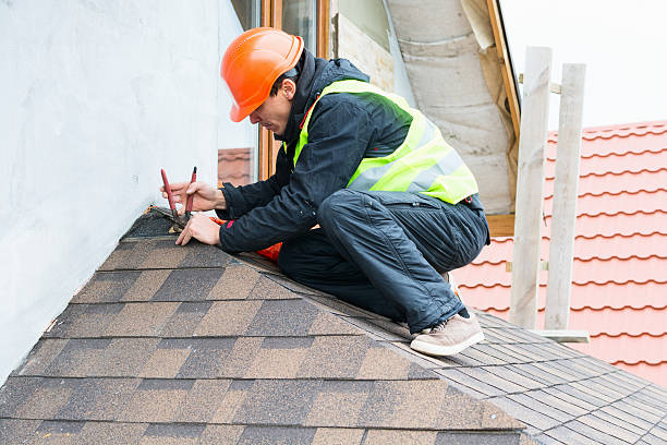 Professional Roofing Contractor in Warren, MI