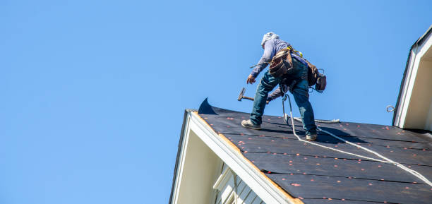 Best Local Roofing Companies  in Warren, MI